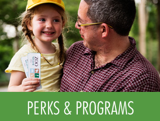 Employee Perks & Programs